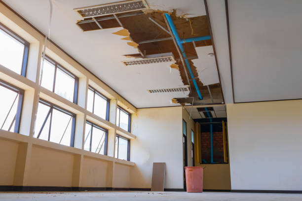 Best Local water damage restoration  in Marksville, LA