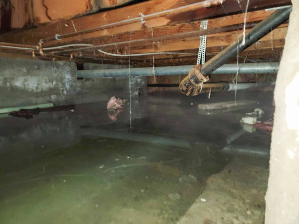  Marksville, LA Water damage restoration Pros