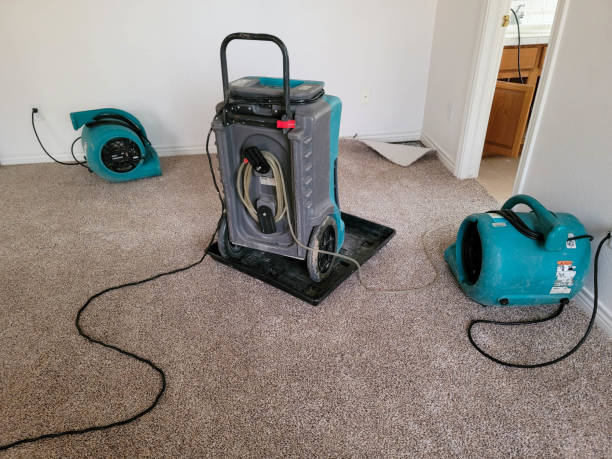 Best Basement water damage restoration  in Marksville, LA