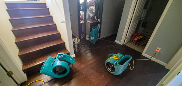 Best Flood damage cleanup  in Marksville, LA