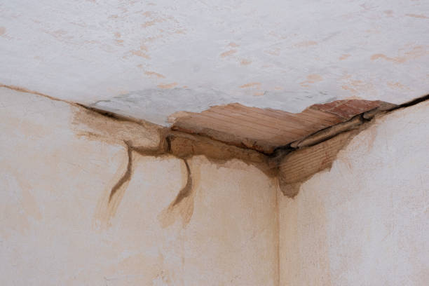 Best Water damage restoration mold remediation  in Marksville, LA