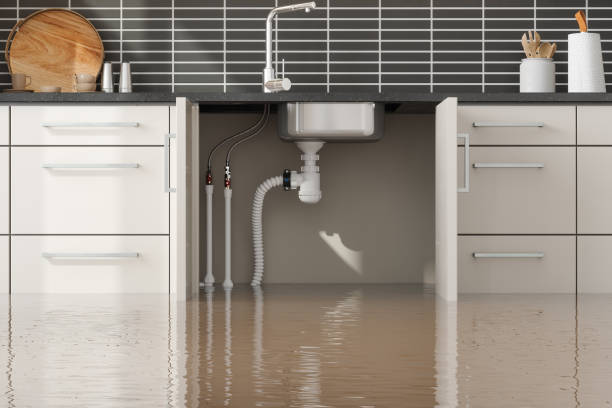 Water damage restoration mold remediation in LA
